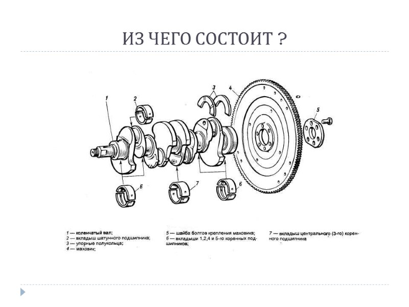 ИЗ ЧЕГО СОСТОИТ ?
